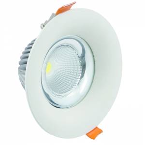 Đèn LED chiếu điểm RV-SL-04