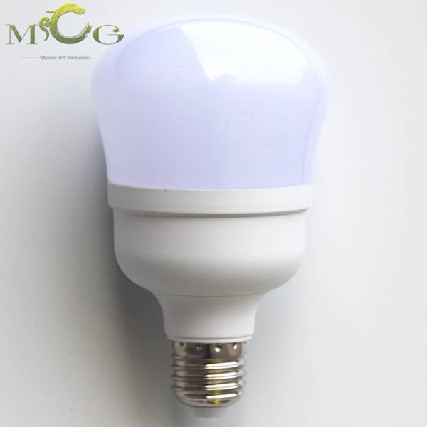 Bóng đèn LED Bulb Hồ lô