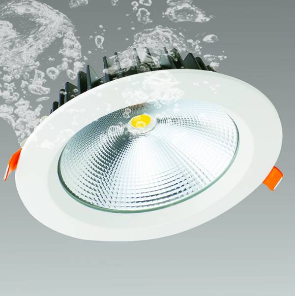 Đèn LED Downlight chống nước RV-WPDL-01