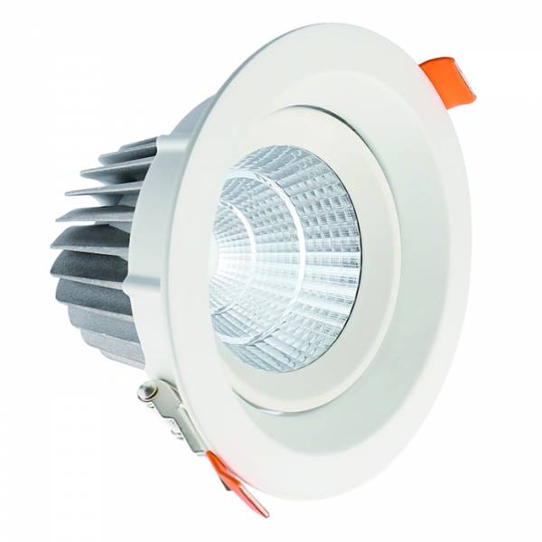 Đèn LED chiếu điểm RV-SL-05